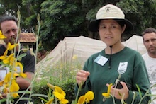 Koon-Hui Wang with cover crops